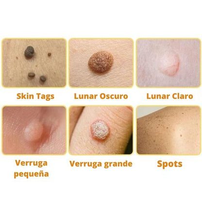 Dermabee
